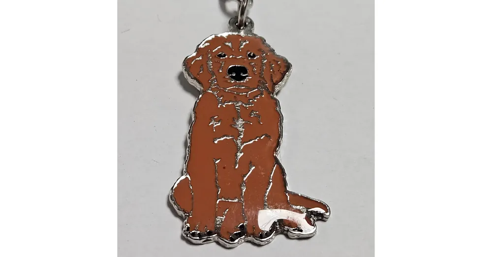 Expressz szállítás Kutyás Kulcstartó - Golden Retriever