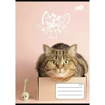 Cool by Victoria Cats Forever vonalas füzet - A/5-ös, többféle Kiárusítás