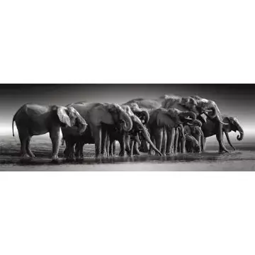 High Quality Collection Óriás elefánt csorda puzzle - 1000 darabos Korlátozott ajánlat