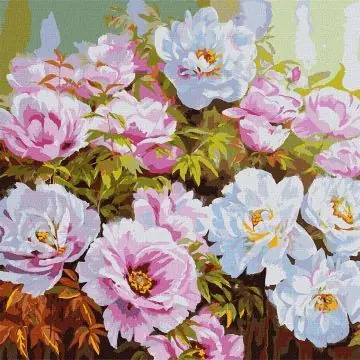 Különleges ajánlat Ideyka Festés számok szerint, Pünkösdi rózsák - 50 x 50 cm