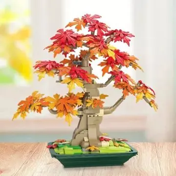Ajánlat Juhar bonsai építőkocka