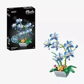 Kék orchidea építőkocka Csak ma