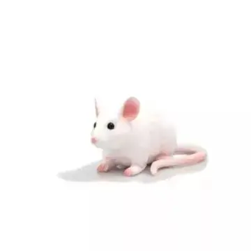 Mojo Egér - 6,5 cm Alacsony ár