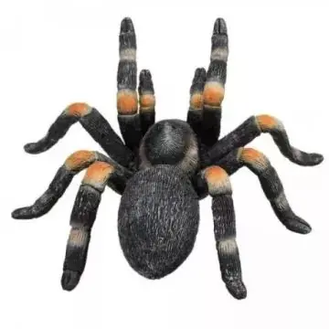 Csak ma Mojo Vöröstérdű tarantula figura