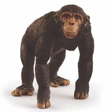 Olcsó Schleich Csimpánz figura 14883