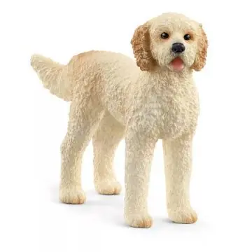 Legkelendőbb Schleich Goldendoodle figura 13939