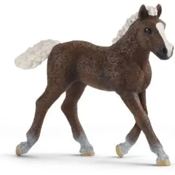 Schleich Schwarzwaldi csikó figura 13899 Rendeld meg most