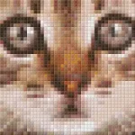 Csak ma Pixelhobby 801305 Cica kreatív szett 12,7x10,1cm
