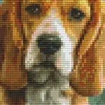 Alacsony ár Pixelhobby 802092 Beagle (10,7x20,3cm)