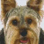 Pixelhobby 802094 Yorkshire terrier szett (12,7x20,3cm) Expressz kézbesítés