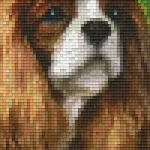 Szuper ajánlat Pixelhobby 802095 Spániel szett (12,7x20,3cm)