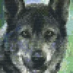Pixelhobby 802096 Farkaskutya szett (12,7x20,3cm) Legkelendőbb