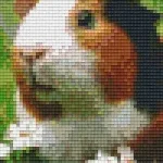 Szuper ajánlat Pixelhobby 802099 Tengerimalac szett (12,7x20,3cm)