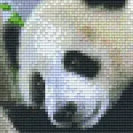 Kedvezményes ár Pixelhobby 802100 Panda szett (12,7x20,3cm)