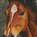 Pixelhobby 802103 Ló szett (12,7x20,3cm) Biztonságos vásárlás