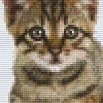 Pixelhobby 802104 Cica szett (12,7x20,3cm) Expressz kézbesítés