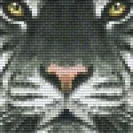 Pixelhobby 802107 Fehér tigris szett (12,7x20,3cm) Azonnali szállítás