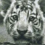 Ne maradj le Pixelhobby 802108 Tigris kölyök szett (12,7x20,3cm)