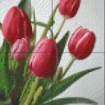 Pixelhobby 804015 Tulipán (20,3x25,4cm) négy alaplapos szett Olcsó