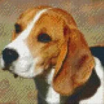 Azonnal elérhető Pixelhobby 804042 Beagle (25,4x20,3cm) 4 alaplapos szett