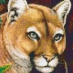 Csak ma Pixelhobby 804048 Párduc (25,4x20,3cm) 4 alaplapos szett