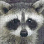 Vásárlói kedvenc Pixelhobby 804049 Mosómedve (25,4x20,3cm) szett