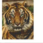 Pixelhobby 804156 Tigris portré (20,3x25,4cm) szett Kedvezményes ár