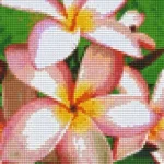 Pixelhobby 804273 Virág (20,3x25,4cm) 4 alaplapos szett Újdonság