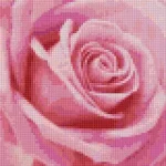 Pixelhobby 804459 Rózsa (25,4x20,3cm) 4 alaplapos szett Csak ma
