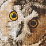 Legnépszerűbb Pixelhobby 804463 Bagoly (25,4x20,3cm) 4 alaplapos szett