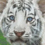 Pixelhobby 804469 Fehér tigris kölyök (25,4x20,3cm) 4 alaplapos szett Szuper ajánlat
