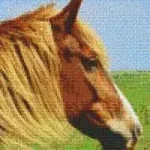 Pixelhobby 806154 Ló szett 6 alaplapos (25,4x30,5 cm) Legnépszerűbb