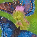Árengedmény Pixelhobby 806160 Pillangók szett 6 alaplapos (20,3x38,1 cm)