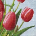 Pixelhobby 806163 Tulipánok szett 6 alaplapos (20,3x38,1 cm) Rendeld meg most