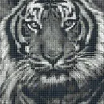 Pixelhobby 808086 Fekete fehér tigris szett 8 alaplapos (25,4x40,6 cm) Újdonság