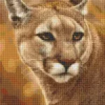 Szezonális akció Pixelhobby 808091 Puma szett 8 alaplapos (25,4x40,6 cm)