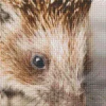 Pixelhobby 808092 Sünike szett 8 alaplapos (25,4x40,6 cm) Rendeld meg most