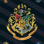 Harry Potter Black polár takaró 100x140cm Csak ma