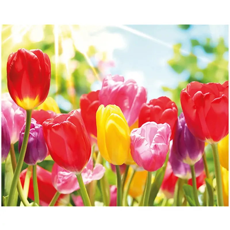 Gyémántszemes kirakó Tulipánok gyémántfestő szett 40x50cm Azonnali szállítás