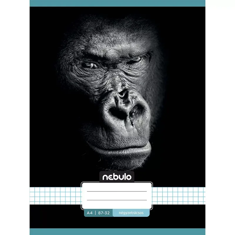 Nebulo Tűzött kockás füzet gorilla mintás 87-32 A/4 Nézd meg most