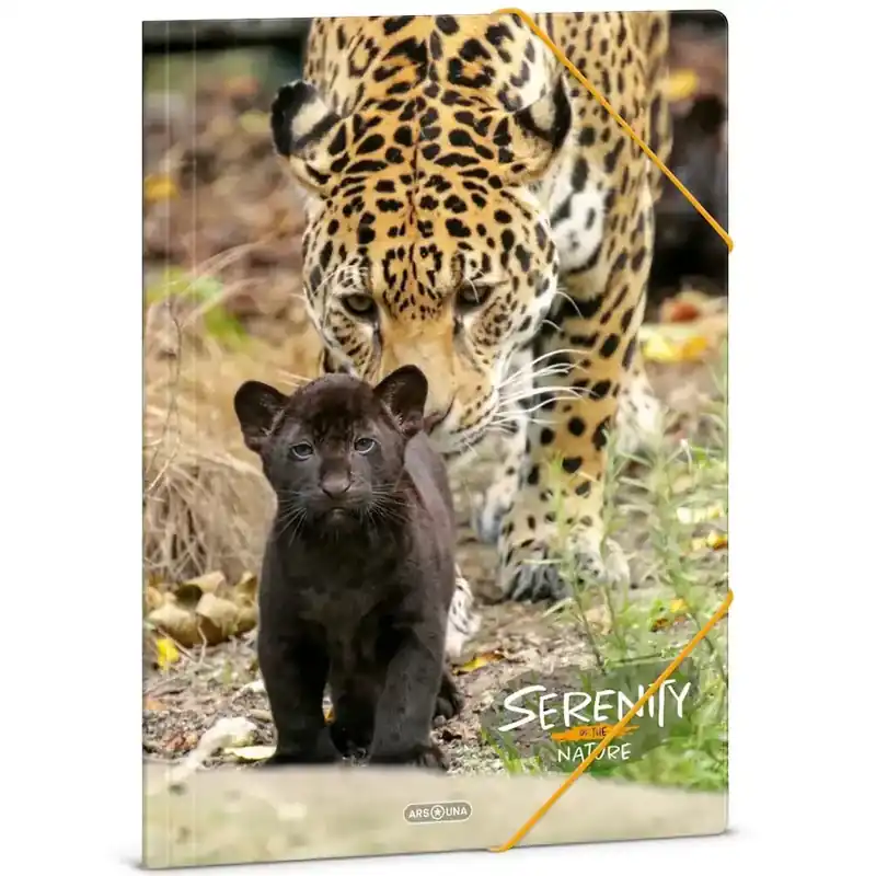 Ars Una Serenity – Jaguár A/4 gumis dosszié Olcsó