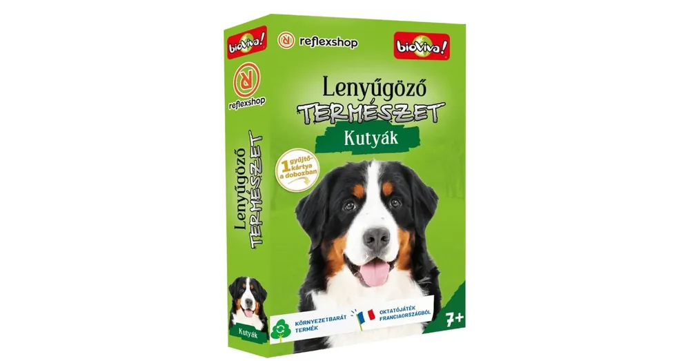 Népszerű Lenyűgöző természet – Kutyák kártyajáték