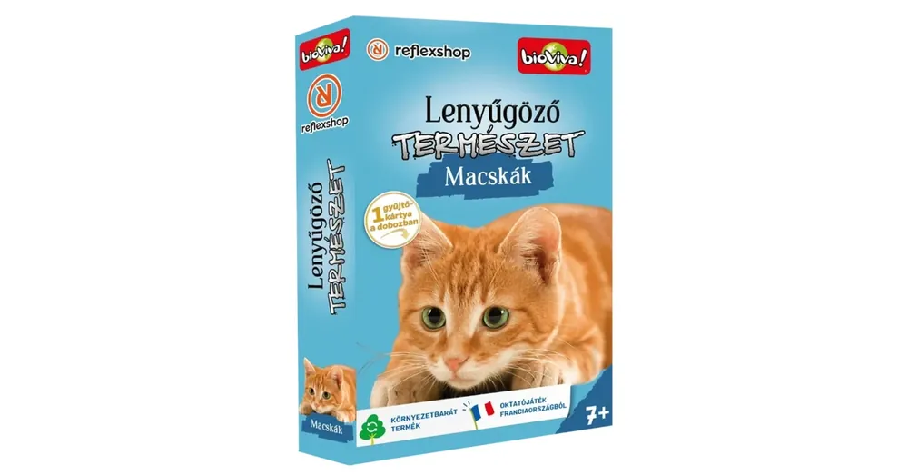 Lenyűgöző természet – Macskák kártyajáték Vásárlói kedvenc