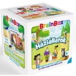 Brainbox Háziállatok Csak ma