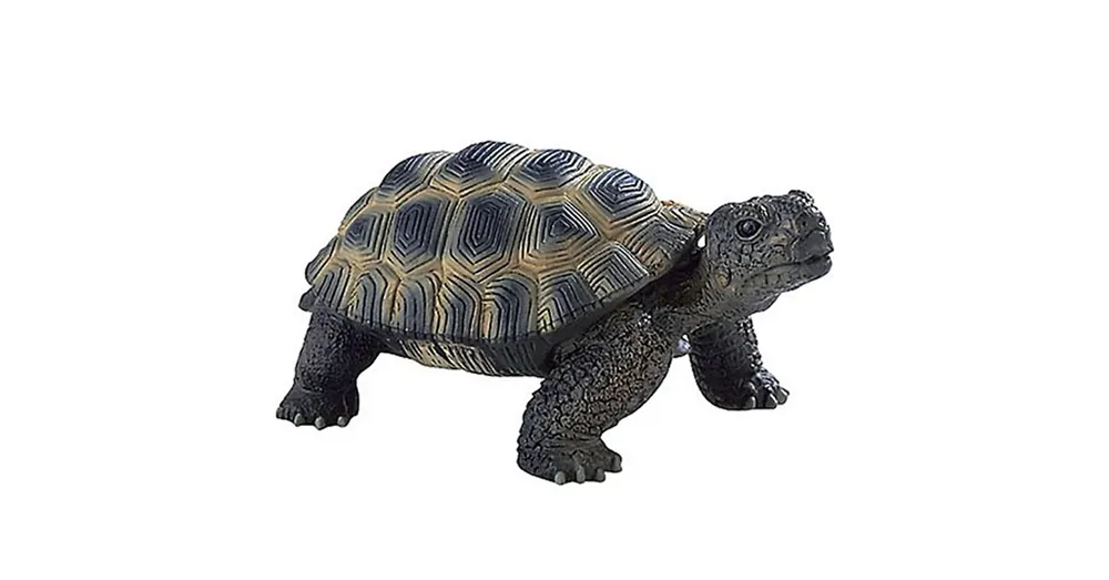 Teknős játékfigura Csak ma