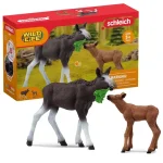 Szuper ajánlat Schleich Wild Life – Jávorszarvas borjúval figura szett (42629)