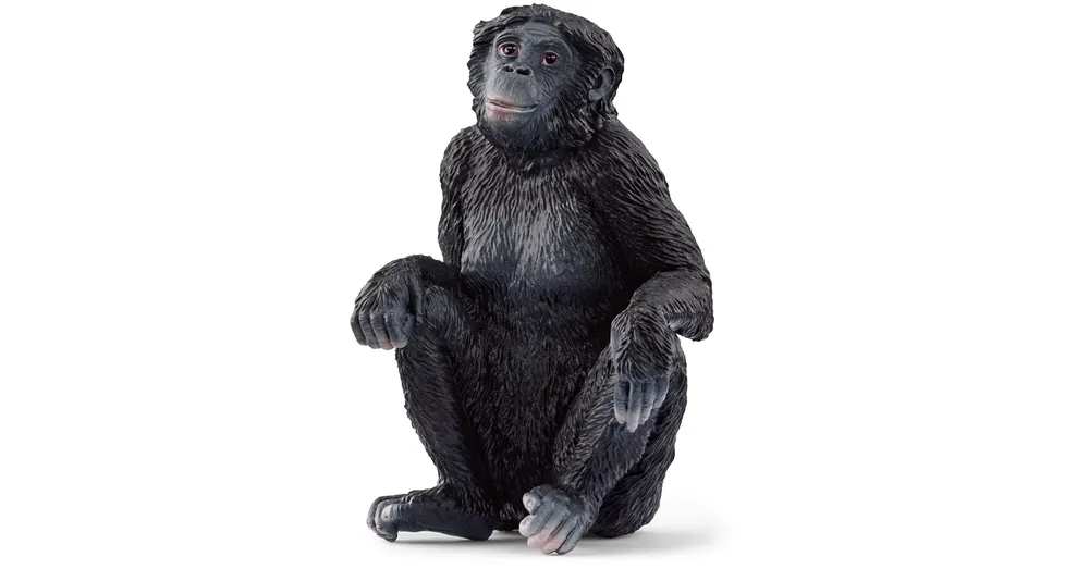 Schleich Bonobo nőstény figura (14875) Expressz kézbesítés