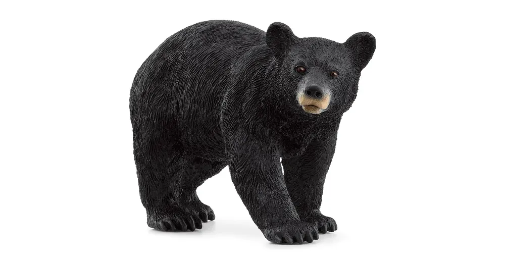 Prémium Schleich Amerikai fekete medve figura (14869)