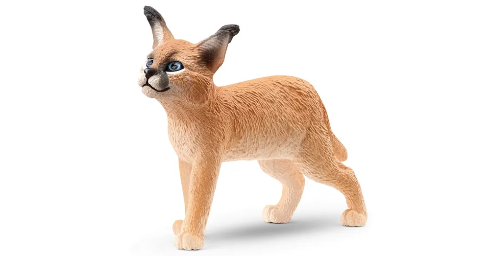 Legkelendőbb Schleich Karakál kölyök figura (14868)