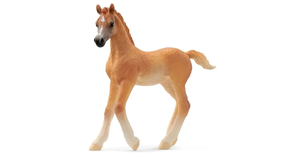 Outlet Schleich Arab csikó figura (13984)